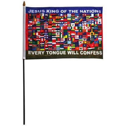 FNSF-12X18 12" x 18" Nations Stick Flag -0