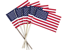 U.S. Stick Flags